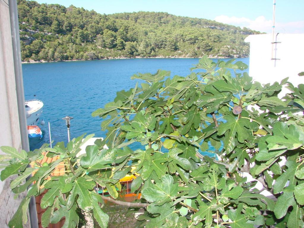 Sea House Mljet Polače Quarto foto